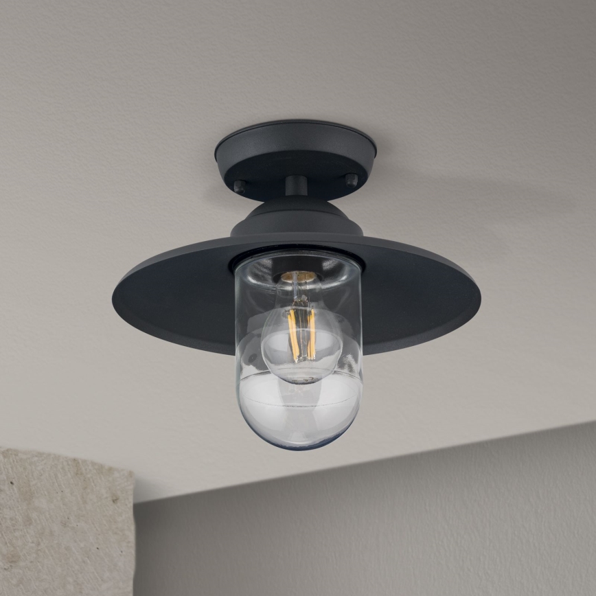 Utomhus ytmonterad taklampa EDWARD 1xE27/60W/230V IP44 antracit
