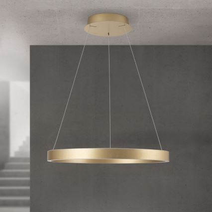 LED dimbar pendellampa med vajer KOLK LED/60W/230V 2700/3000/4000K Ø 60 cm guld
