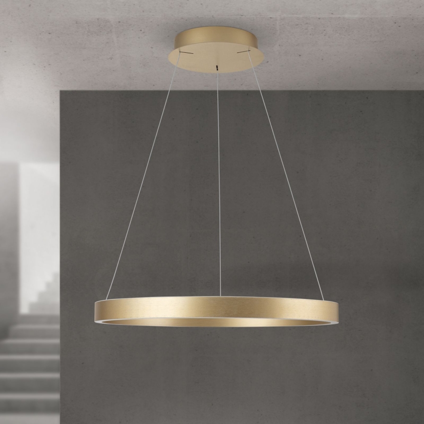 LED dimbar pendellampa med vajer KOLK LED/60W/230V 2700/3000/4000K Ø 60 cm guld