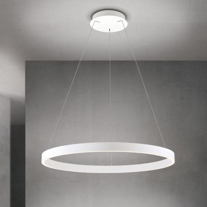 LED dimbar pendellampa på kabel KOLK LED/80W/230V 2700/3000/4000K Ø 80 cm vit