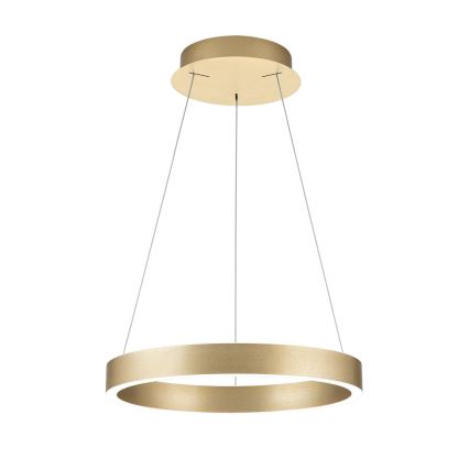 LED dimmbar hänglampa på vajer KOLK LED/40W/230V 2700/3000/4000K Ø 40 cm guld