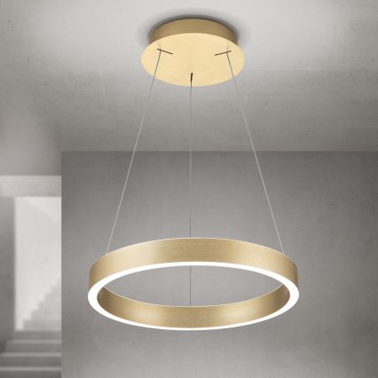 LED dimmbar hänglampa på vajer KOLK LED/40W/230V 2700/3000/4000K Ø 40 cm guld