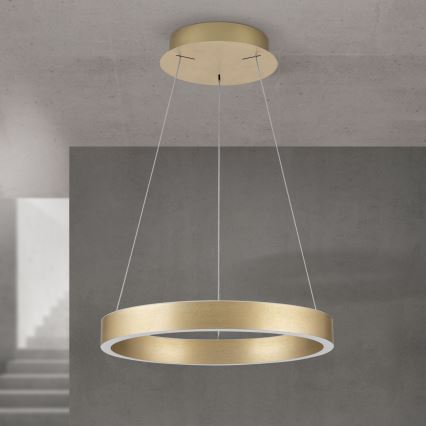 LED dimmbar hänglampa på vajer KOLK LED/40W/230V 2700/3000/4000K Ø 40 cm guld
