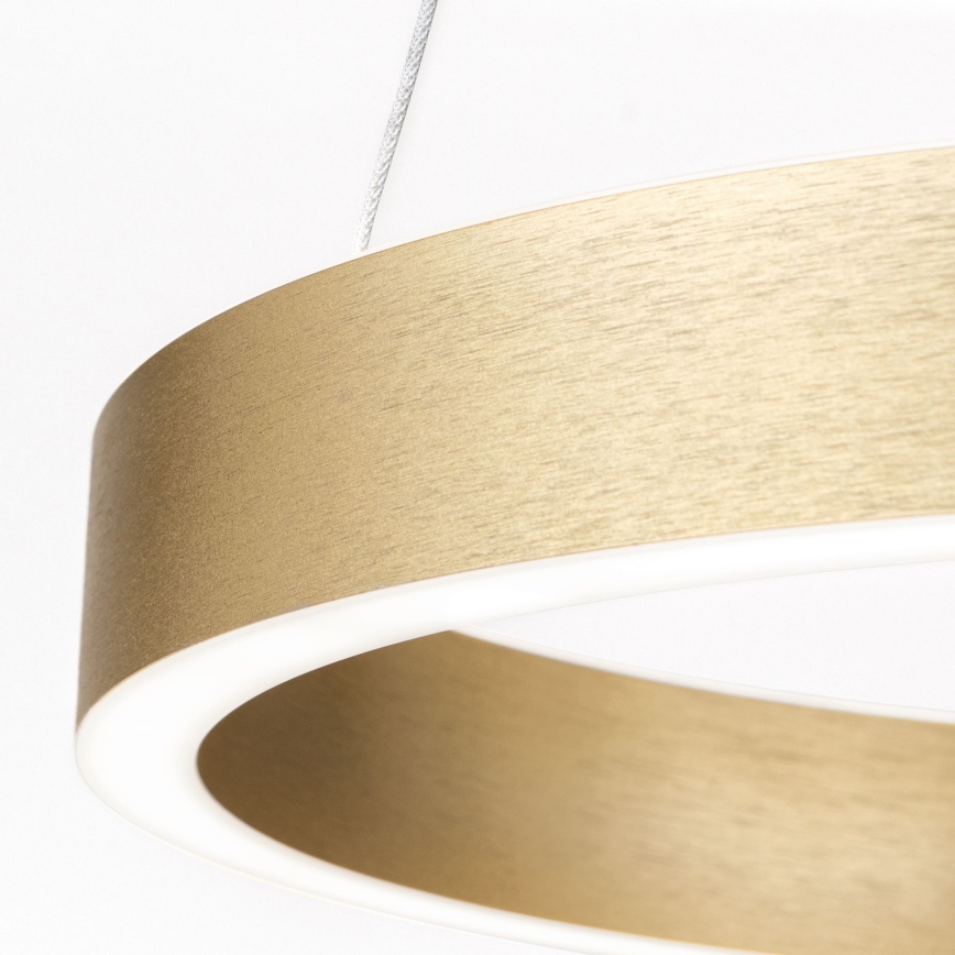 LED dimmbar hänglampa på vajer KOLK LED/40W/230V 2700/3000/4000K Ø 40 cm guld