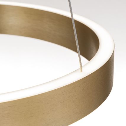 LED dimmbar hänglampa på vajer KOLK LED/40W/230V 2700/3000/4000K Ø 40 cm guld