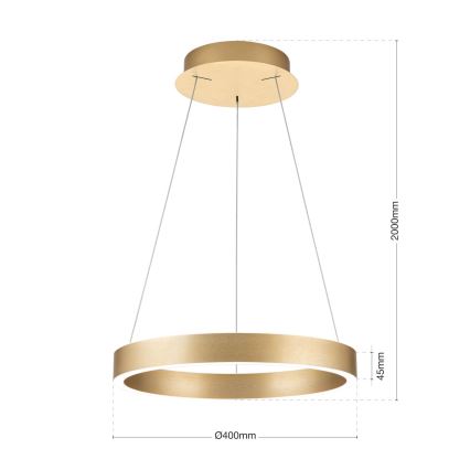 LED dimmbar hänglampa på vajer KOLK LED/40W/230V 2700/3000/4000K Ø 40 cm guld