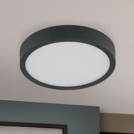 LED taklampa BULLY LED/12W/230V diameter 14 cm svart