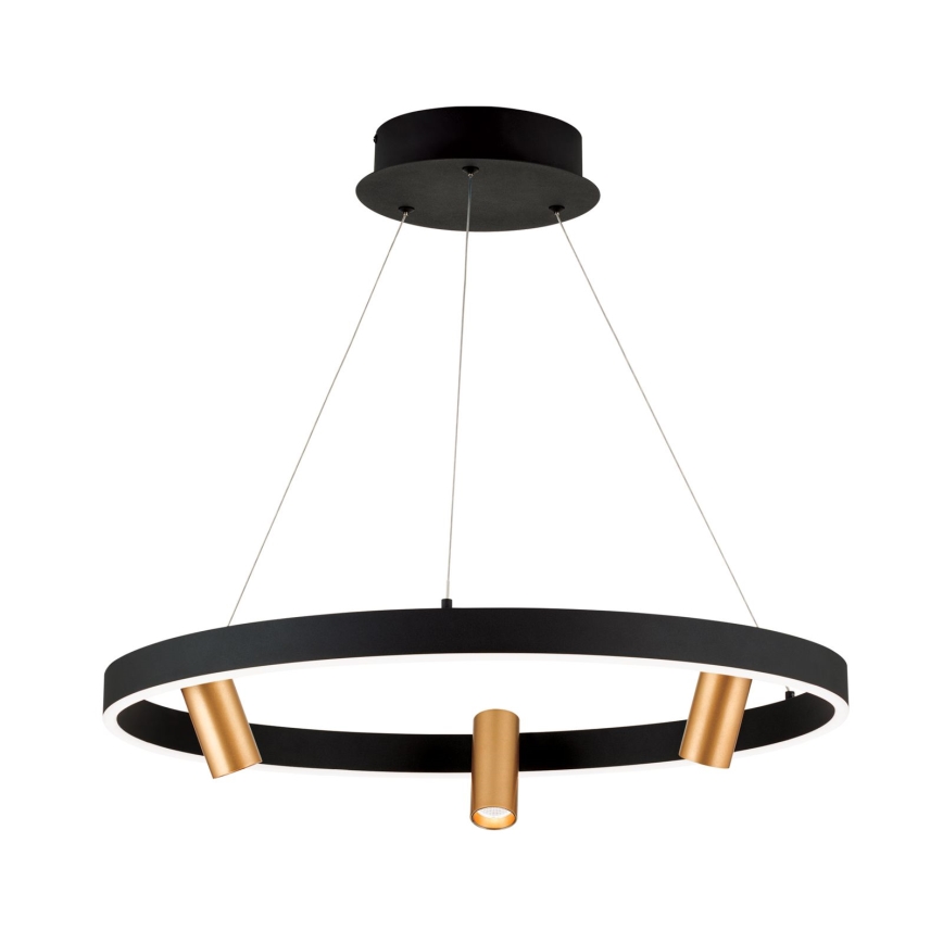 Dämpbar LED-pendel på kabel BERLIN LED/50W/230V svart/guld