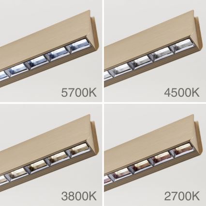 LED Dimbart taklampa TARA LED/44W/230V 2700/3800/4500/5700K guld