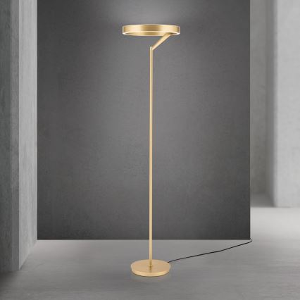 LED dimbar golvlampa KOLK LED/40W/230V 2700/4000K guld