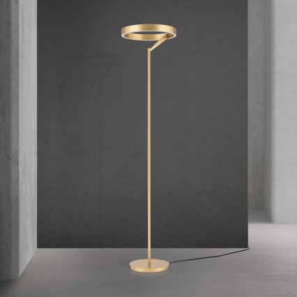 LED dimbar golvlampa KOLK LED/40W/230V 2700/4000K guld