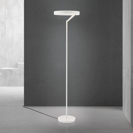 LED Dimbar golvlampa KOLK LED/40W/230V 2700/4000K vit