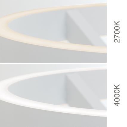 LED Dimbar golvlampa KOLK LED/40W/230V 2700/4000K vit