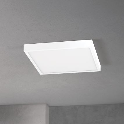 LED dimbar taklampa DISC LED/30W/230V 2700/3000/4000K 39x39 cm vit