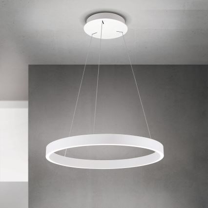 Dimbar LED-pendel på vajer KOLK LED/60W/230V 2700/3000/4000K Ø 60 cm vit