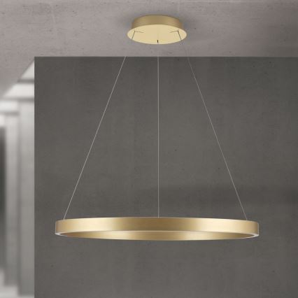 dimbar LED-pendellampa på vajer KOLK LED/80W/230V 2700/3000/4000K Ø 80 cm guld