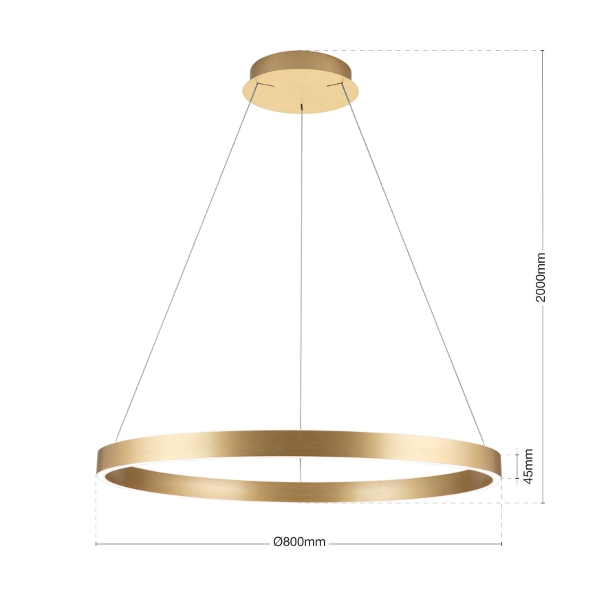 dimbar LED-pendellampa på vajer KOLK LED/80W/230V 2700/3000/4000K Ø 80 cm guld