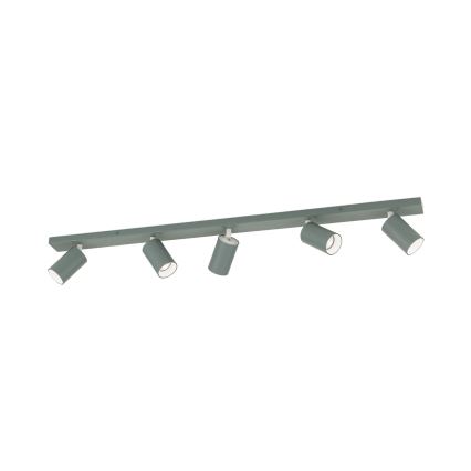 Spotarmatur PENN 5xGU10/13W/230V grå