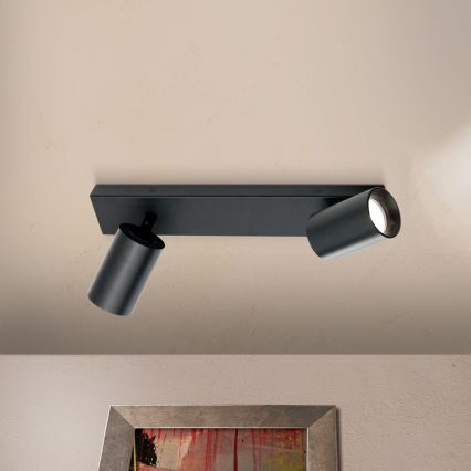 Spotarmatur SEAN 2xGU10/13W/230V svart