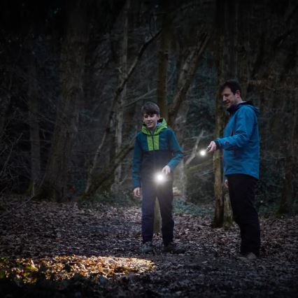 Osram - LED dimbar ficklampa LEDINSPECT TORCH 450 ESSENTIAL LED/6W/3xAAA IP44