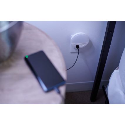 Osram - LED-nattlampa för vägguttag med sensor LUNETTA 2xUSB LED/13W/230V