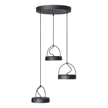 Osram - LED-pendel på vajer DECOR PUCK 3xLED/12W/230V CRI 90 svart