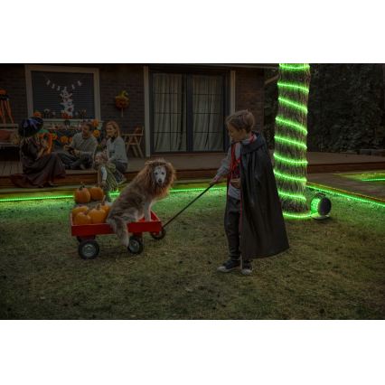 Osram - LED RGB Dimmbar utomhusremsa FLEX 10m LED/70W/230V IP65 + fjärrkontroll
