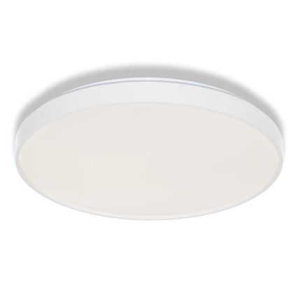 Osram - LED takarmatur CEILING LUXO LED/36W/230V Ø 49 cm vit