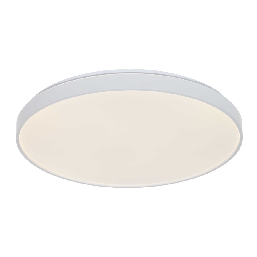 Osram - LED taklampa CEILING LUXO LED/60W/230V Ø 56 cm vit