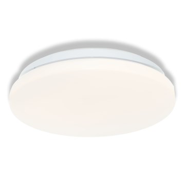 Osram - LED taklampa för badrum CEILING ROUND LED/12W/230V 6500K Ø 26 cm IP44 vit