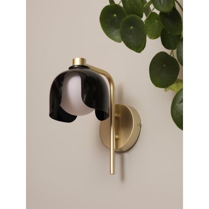 Osram - Vägglampa DECOR COROLLE 1xG9/20W/230V svart/guld