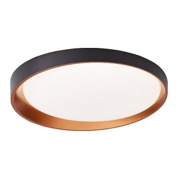 Palnas 61004563 - LED Takbelysning ADEL LED/40W/230V ø 50 cm svart