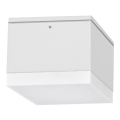 Palnas 66001470 - LED Utomhus Takbelysning BRUNO LED/10W/230V IP54