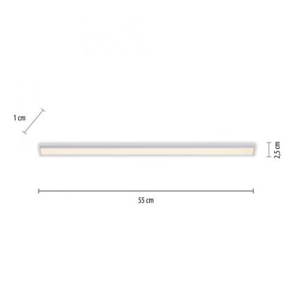Paul Neuhaus 1125-21-A - LED Utbyggnadsarmatur för underlänk AMON LED/6W/12/230V