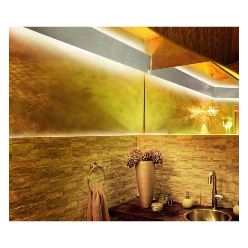 Paul Neuhaus 1205-70 - LED RGB ljusreglerad  ljusslinga TEANIA 10m LED/30W/12/230V + fjärrkontroll 