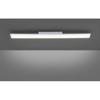 Paul Neuhaus 16537-16-O - LED ljusreglerad fastsatt panel  FLAT LED/21W/230V + fjärrkontroll
