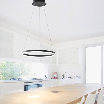 Paul Neuhaus 2381-13 - LED ljusreglerad Ljuskrona med upphängningsrem  TITUS LED/28W/230V