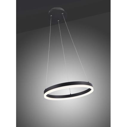 Paul Neuhaus 2381-13 - LED ljusreglerad Ljuskrona med upphängningsrem  TITUS LED/28W/230V