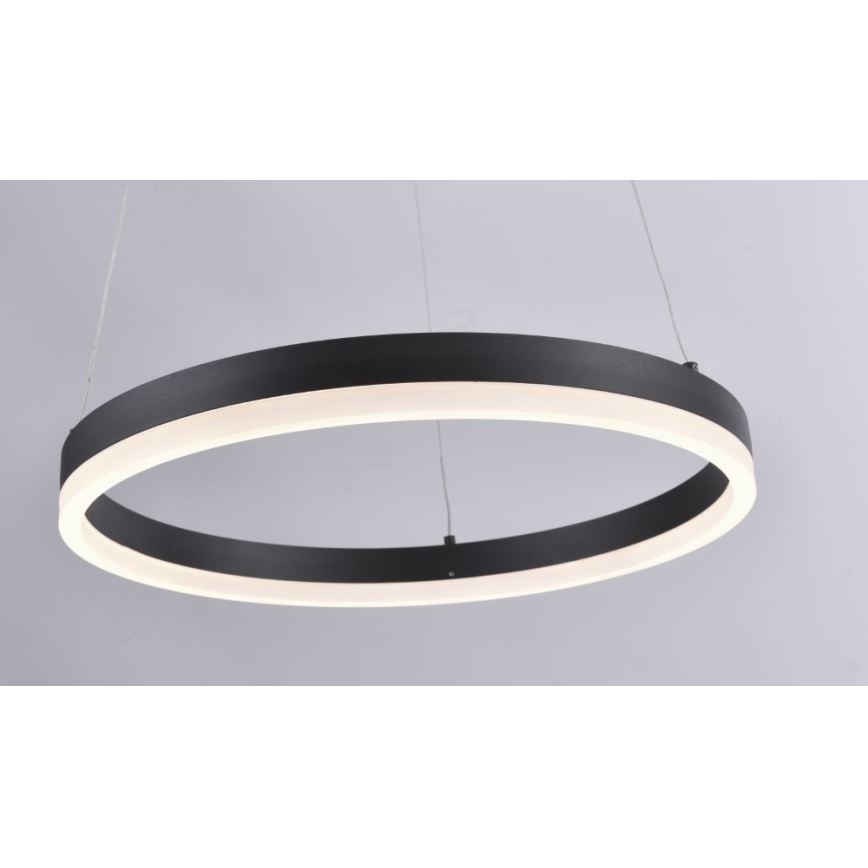 Paul Neuhaus 2381-13 - LED ljusreglerad Ljuskrona med upphängningsrem  TITUS LED/28W/230V