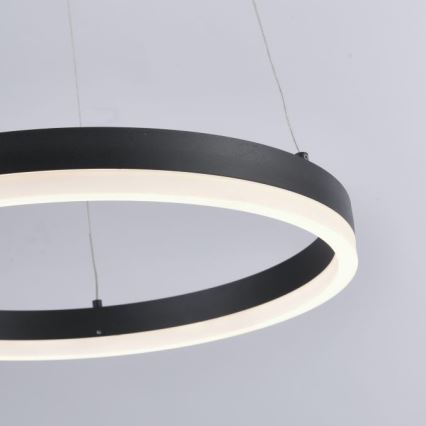 Paul Neuhaus 2381-13 - LED ljusreglerad Ljuskrona med upphängningsrem  TITUS LED/28W/230V