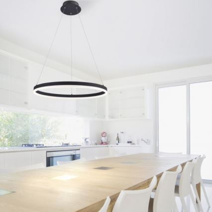 Paul Neuhaus 2382-13 - LED ljusreglerad Ljuskrona med upphängningsrem  TITUS LED/38,5W/230V