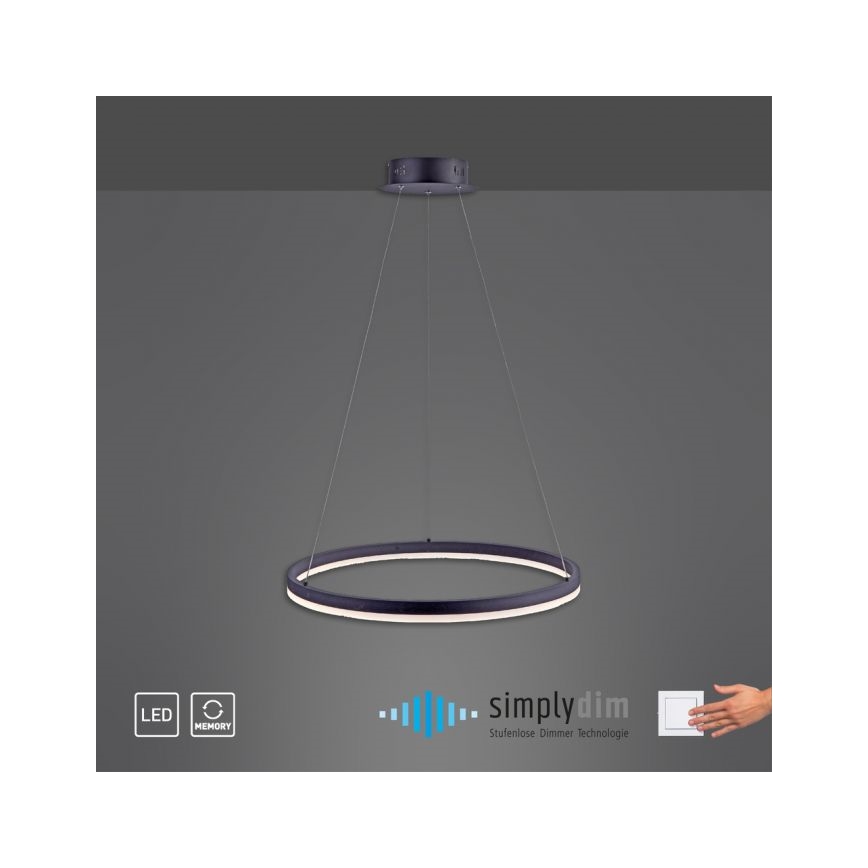 Paul Neuhaus 2382-13 - LED ljusreglerad Ljuskrona med upphängningsrem  TITUS LED/38,5W/230V