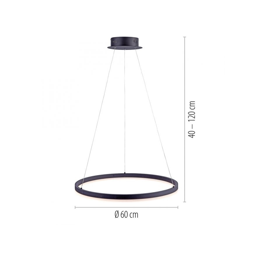 Paul Neuhaus 2382-13 - LED ljusreglerad Ljuskrona med upphängningsrem  TITUS LED/38,5W/230V