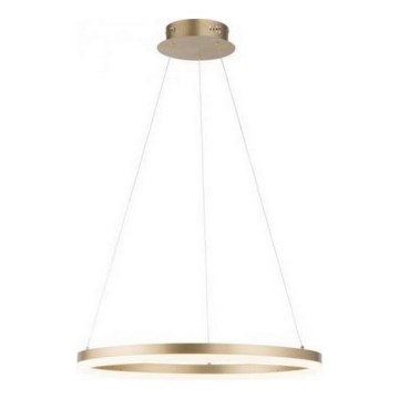 Paul Neuhaus 2382-60 - LED ljusreglerad ljuskrona på textilsladd TITUS LED/38,5W/230V