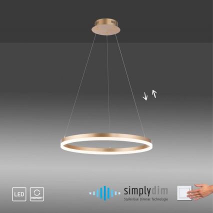 Paul Neuhaus 2382-60 - LED ljusreglerad ljuskrona på textilsladd TITUS LED/38,5W/230V