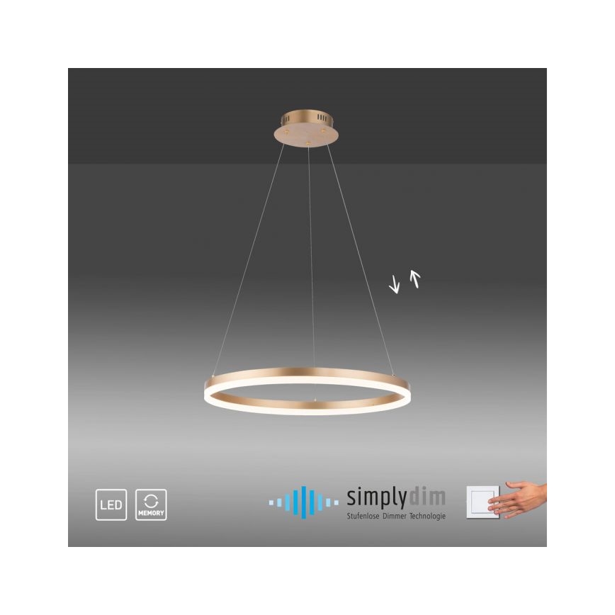 Paul Neuhaus 2382-60 - LED ljusreglerad ljuskrona på textilsladd TITUS LED/38,5W/230V