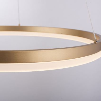 Paul Neuhaus 2382-60 - LED ljusreglerad ljuskrona på textilsladd TITUS LED/38,5W/230V