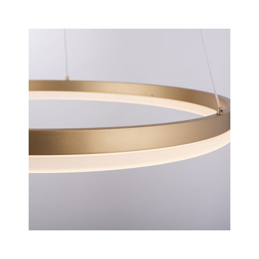 Paul Neuhaus 2382-60 - LED ljusreglerad ljuskrona på textilsladd TITUS LED/38,5W/230V