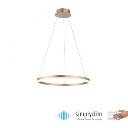 Paul Neuhaus 2382-60 - LED ljusreglerad ljuskrona på textilsladd TITUS LED/38,5W/230V