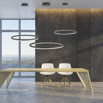 Paul Neuhaus 2383-13 - Dimbar LED-lampakrona med snöre TITUS LED/50W/230V